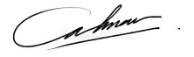 Ideas De Firma De Letras C. Ilustración Vectorial En Fondo Transparente  Ilustración del Vector - Ilustración de fondo, documento: 307527373